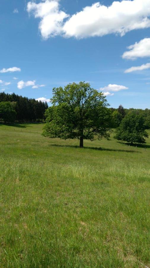 Ferientraum-am-rothaarsteig Wilnsdorf